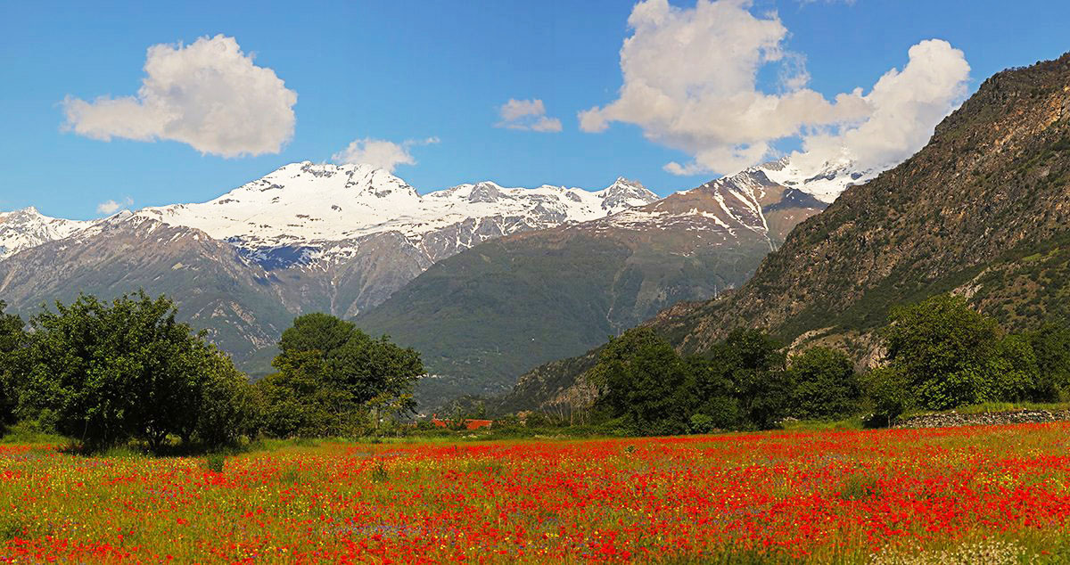 Bassa Valle di Susa